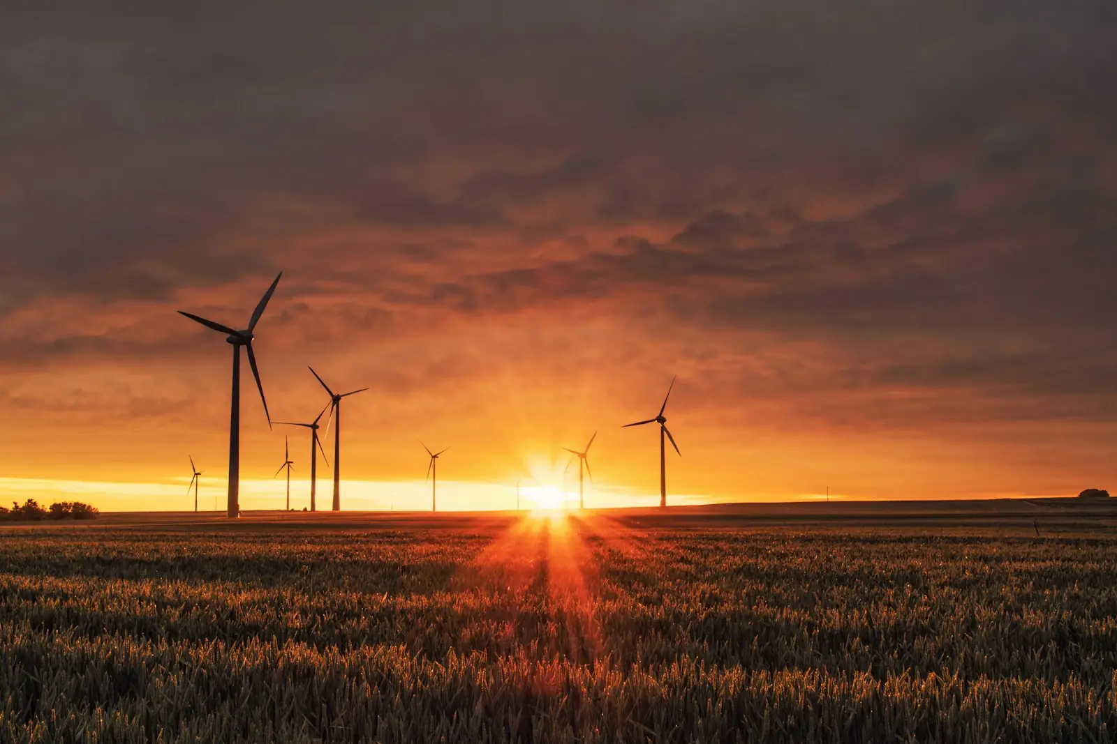 ClimateTech, Energy and Utilities industry