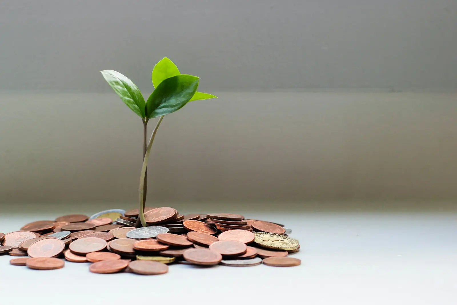 Cloud Cost Optimization — overview