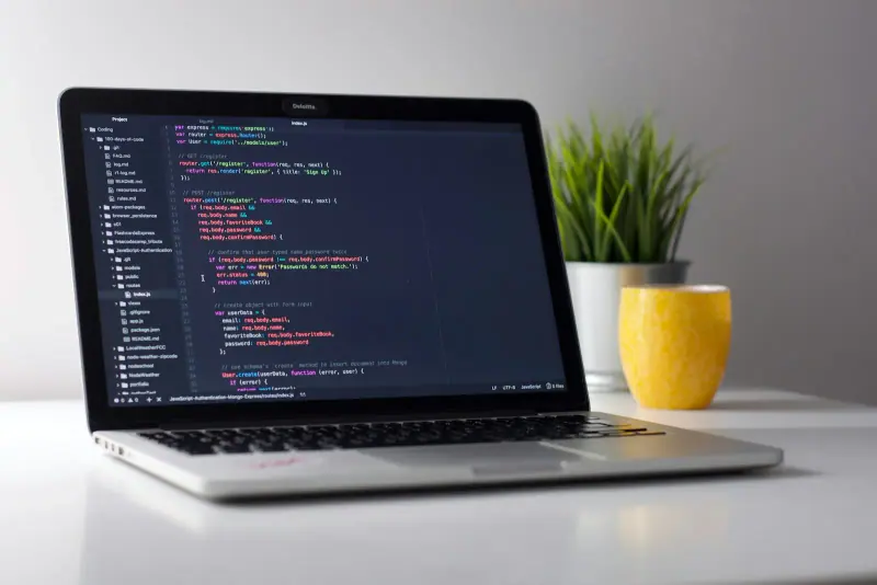 Custom Software Development — overview
